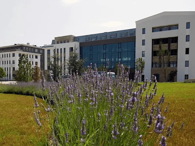 Regus Tópark